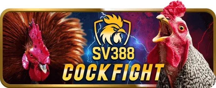 Lịch sử phát triển xo88 code